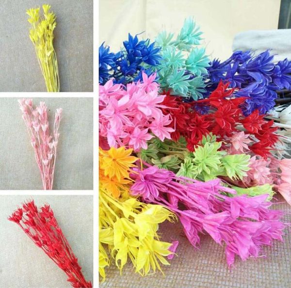 10 bundles dried white lllicium flowers plants herbarium for wedding party home l decoration diy bouquet project accessory
10 bundles dried white lllicium flowers plants herbarium for wedding party home l decoration diy bouquet project accessory