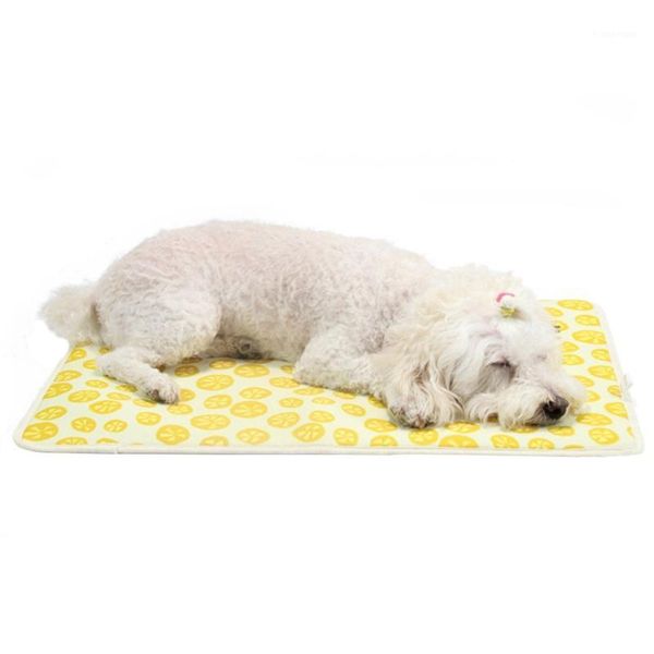 pet summer cooling mat for dog non-toxic & anti-slip pet bed & kennel breathable bed floor pad for dogs cats cooling mat new
pet summer cooling mat for dog non-toxic & anti-slip pet bed & kennel breathable bed floor pad for dogs cats cooling mat new