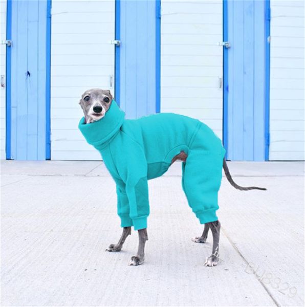 high collar pet dog clothes accessories hood pet multi color hound puppy apparel warm ropa para perros fashion 27lm g2
high collar pet dog clothes accessories hood pet multi color hound puppy apparel warm ropa para perros fashion 27lm g2