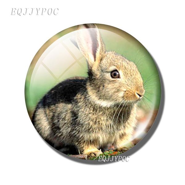 easter bunny 30mm fridge magnets glass dome magnetic stickers for refrigerator magnet rabbit note holder cute animals home decor wmtxrw
easter bunny 30mm fridge magnets glass dome magnetic stickers for refrigerator magnet rabbit note holder cute animals home decor wmtxrw