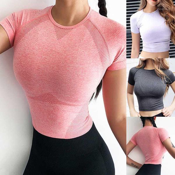 women's energy seamless yoga shirts short sleeve crop basic scoop neck shirts for women yoga sports fitness gym workout, Black;blue
women's energy seamless yoga shirts short sleeve crop basic scoop neck shirts for women yoga sports fitness gym workout, Black;blue