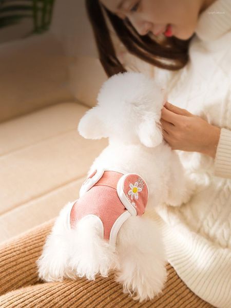 dog apparel small diaper physiological pants sanitary washable female panties shorts underwear briefs for cat pet panties1
dog apparel small diaper physiological pants sanitary washable female panties shorts underwear briefs for cat pet panties1