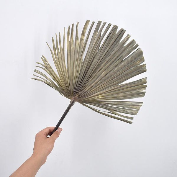 party favor dried flower palm fan leaf plants sunflower leaves home decor window wedding arch arrangement hanging mj82805
party favor dried flower palm fan leaf plants sunflower leaves home decor window wedding arch arrangement hanging mj82805