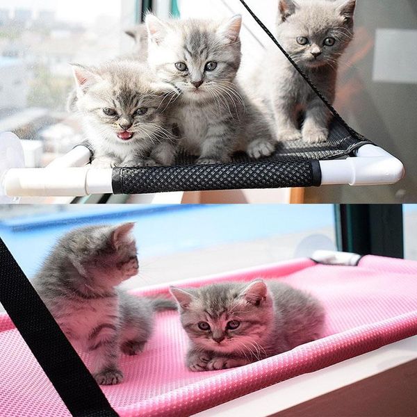 cat beds & furniture perch hammock window bed seat mat kitten sunny durable big pet with upgraded suction cups safety
cat beds & furniture perch hammock window bed seat mat kitten sunny durable big pet with upgraded suction cups safety