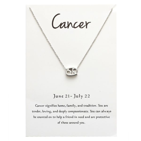 suteyi gold 12 sliver constellation aquarius card pisces cancer sagittarius pendant necklace for woman birthday gift
suteyi gold 12 sliver constellation aquarius card pisces cancer sagittarius pendant necklace for woman birthday gift