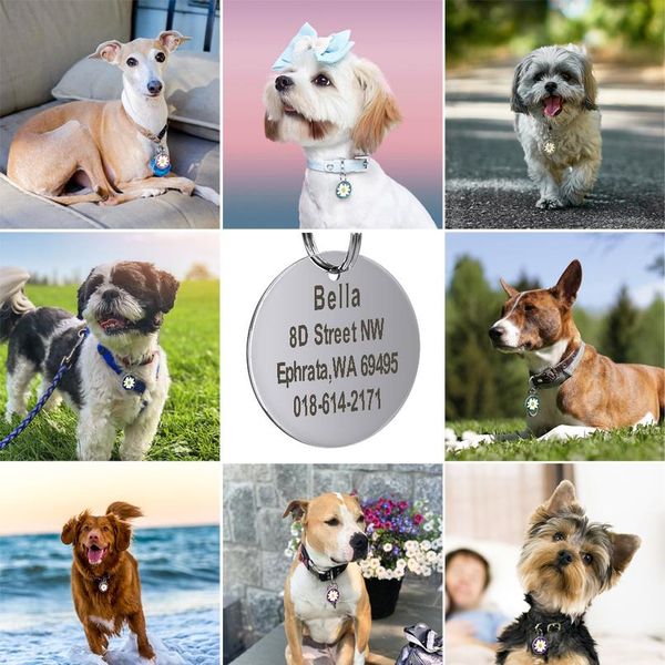 custom pet dog cat id tag personalized round tags engraved stainless steel collar nameplate tag for dogs cats pet acc sqceii
custom pet dog cat id tag personalized round tags engraved stainless steel collar nameplate tag for dogs cats pet acc sqceii