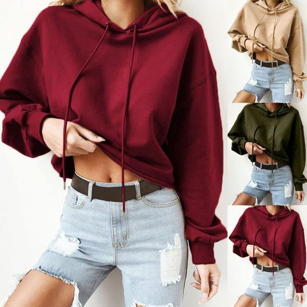 casual pullover women hoodie casual round neck sweatshirts pullover long sleeve lightweight feminino vestido1, Black
casual pullover women hoodie casual round neck sweatshirts pullover long sleeve lightweight feminino vestido1, Black