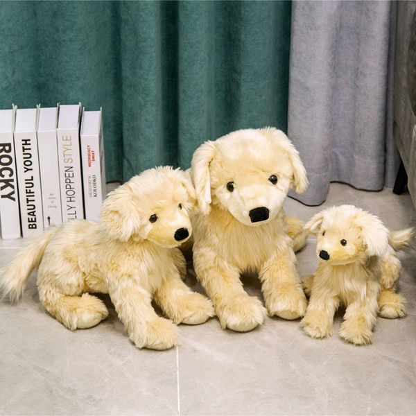 cute simulation golden retriever plush toys animal stuffed toys children toys gifts home decoration
cute simulation golden retriever plush toys animal stuffed toys children toys gifts home decoration