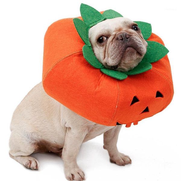 halloween pumpkin collar for all size pet dog halloween props neckband cloth fabric adjustable breathable cat custome supplies 11
halloween pumpkin collar for all size pet dog halloween props neckband cloth fabric adjustable breathable cat custome supplies 11