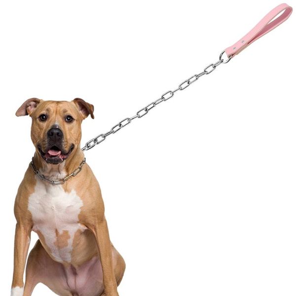 durable dog chain leash small large dogs walking lead rope collar harness leashes with leather handle golden color pet jllrfn
durable dog chain leash small large dogs walking lead rope collar harness leashes with leather handle golden color pet jllrfn