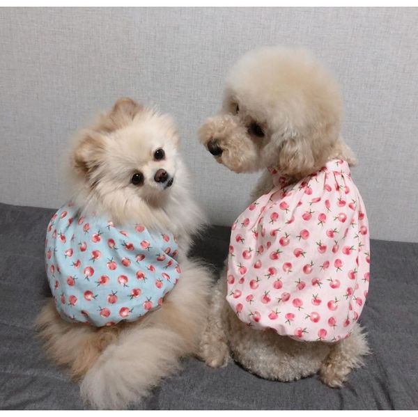 inshot продажа лето осень симпатичные собаки собака юбка слинга эластичность pet одежда inshot продажа красоты и лучший sqchgu new_dhbest
inshot продажа лето осень симпатичные собаки собака юбка слинга эластичность pet одежда inshot продажа красоты и лучший sqchgu new_dhbest