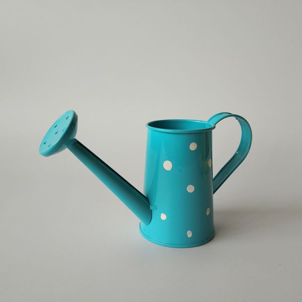 d6xh8cm wholesale decorative watering cans metal baby shower party favor box birthday gift decoration event festive supplies
d6xh8cm wholesale decorative watering cans metal baby shower party favor box birthday gift decoration event festive supplies