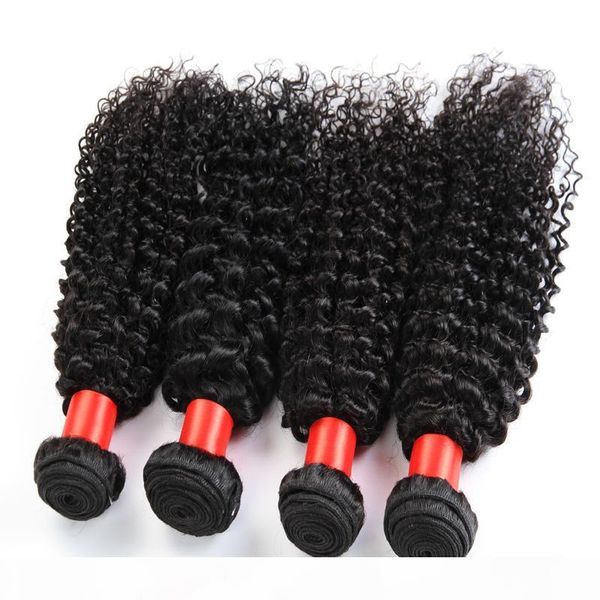 brazilian kinky curly virgin hair 3 4pcs 300 400g lot brazilian virgin hair kinky curly hair product, Black
brazilian kinky curly virgin hair 3 4pcs 300 400g lot brazilian virgin hair kinky curly hair product, Black