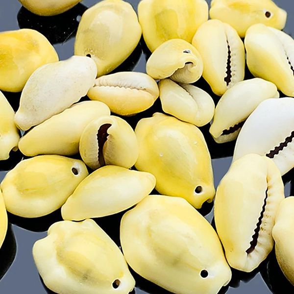 20pcs 1.4 2.2cm natural shell conch beads seashells diy jewelry accessories earring bracelet necklace fashion bohemian jewelry h bbyjrv