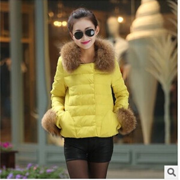 new 2020 the raccoon with heavy hair collar short jacket thickening yellow feather female coat t891 q3g8, Black
new 2020 the raccoon with heavy hair collar short jacket thickening yellow feather female coat t891 q3g8, Black