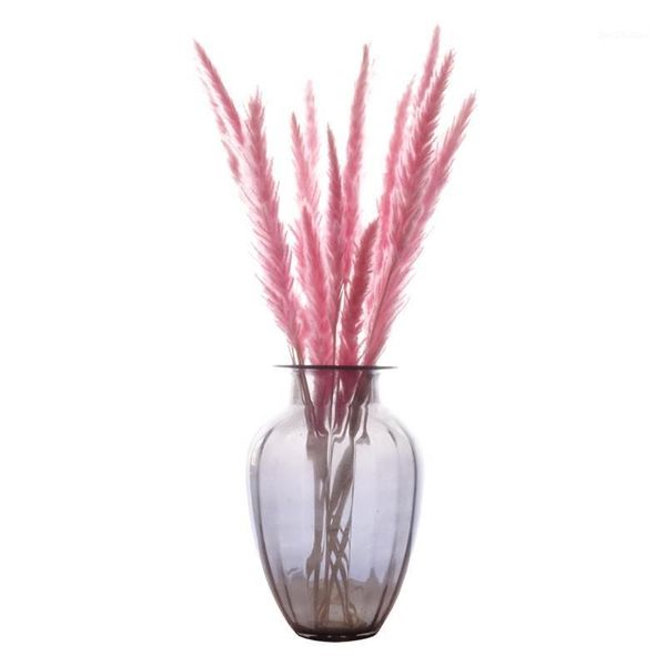 decorative flowers & wreaths 20pcs decor wedding home small pampas reed grass dried natural plants bunch1
decorative flowers & wreaths 20pcs decor wedding home small pampas reed grass dried natural plants bunch1