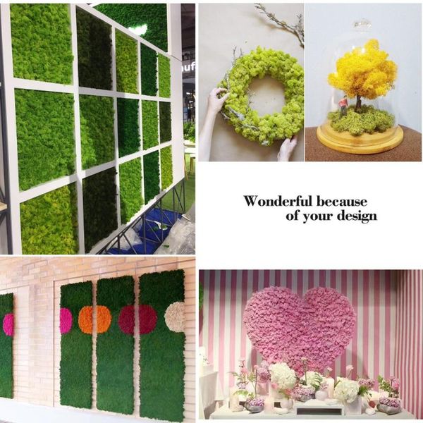 decorative flowers & wreaths 500g multicolor moss never withers insurance immortal diy floral materials microscopic bonsai
decorative flowers & wreaths 500g multicolor moss never withers insurance immortal diy floral materials microscopic bonsai