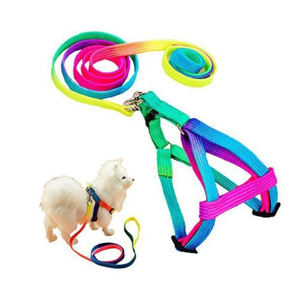 dog collars & leashes adjustable breakaway rainbow nylon small cat collar leash breast-band lead harness set goods for pets
dog collars & leashes adjustable breakaway rainbow nylon small cat collar leash breast-band lead harness set goods for pets