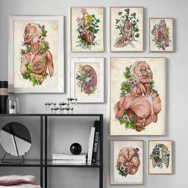 anatomy muscle flower vintage poster wall art canvas painting nordic posters and prints wall pictures for office decor
anatomy muscle flower vintage poster wall art canvas painting nordic posters and prints wall pictures for office decor