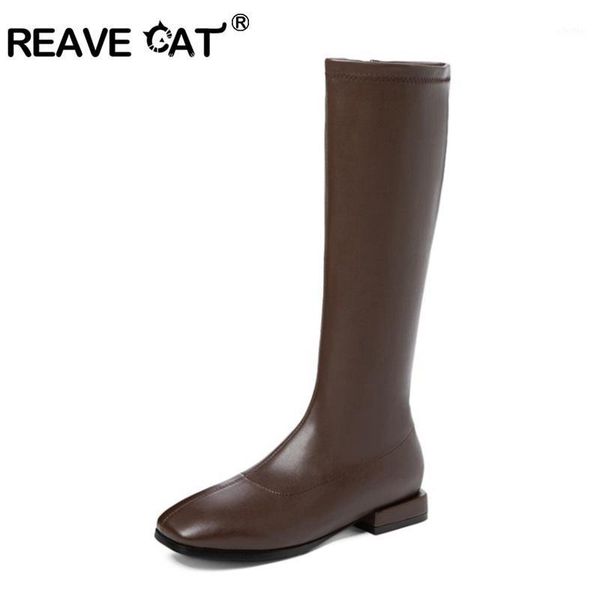 reavecat autumn winter knee-high boots square toe 2cm chunky heels patent leather zipper solid big size 33-43 black daily a32021
reavecat autumn winter knee-high boots square toe 2cm chunky heels patent leather zipper solid big size 33-43 black daily a32021