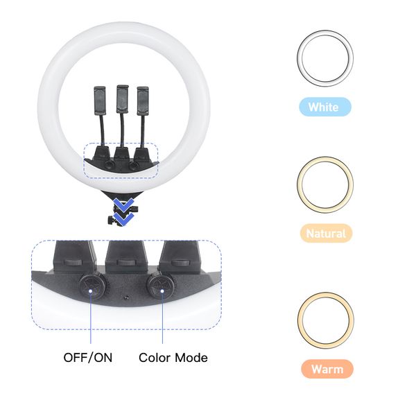 4fds2awvideo live streaming cell mobile phone holder selfie stick tripod led circle tiktok ring light stand
4fds2awvideo live streaming cell mobile phone holder selfie stick tripod led circle tiktok ring light stand