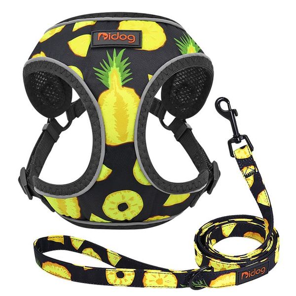 cute adjustable dog harness leash set reflective mesh puppy vest nylon pet walking leash lead for small medium dogs c sqcxmu
cute adjustable dog harness leash set reflective mesh puppy vest nylon pet walking leash lead for small medium dogs c sqcxmu