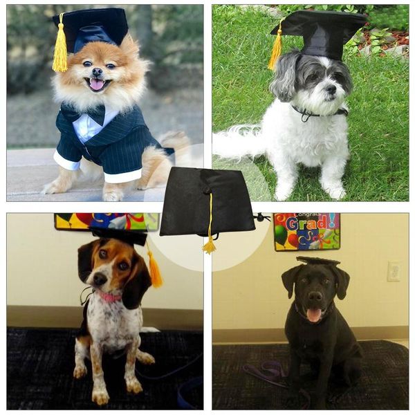cute pet dog cats hat cap rabbit fashion hat for cat dogs casual canvas cap for dog kitty hat chihuahua pet products bbycjq
cute pet dog cats hat cap rabbit fashion hat for cat dogs casual canvas cap for dog kitty hat chihuahua pet products bbycjq