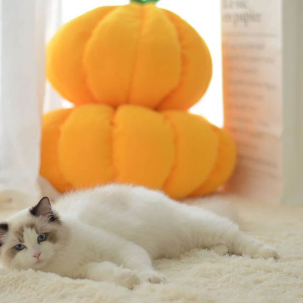 funny design winter warm pet cat mat pumpkin nest cute fruit modeling house for small dog teddy bed
funny design winter warm pet cat mat pumpkin nest cute fruit modeling house for small dog teddy bed