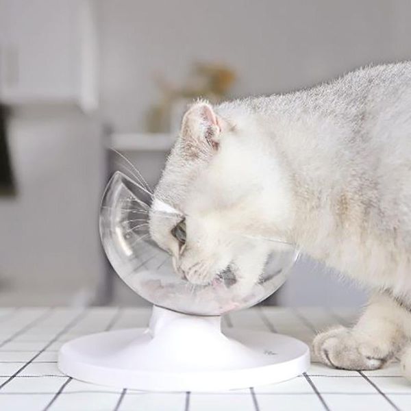 cat bowls & feeders dog bowl transparent abs material non-slip with protection cervical pet for all ages
cat bowls & feeders dog bowl transparent abs material non-slip with protection cervical pet for all ages