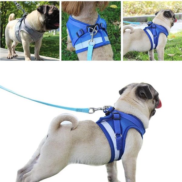 new dog harness with leash summer pet adjustable reflective vest walking lead for puppy mesh harness small medium dog leashes
new dog harness with leash summer pet adjustable reflective vest walking lead for puppy mesh harness small medium dog leashes