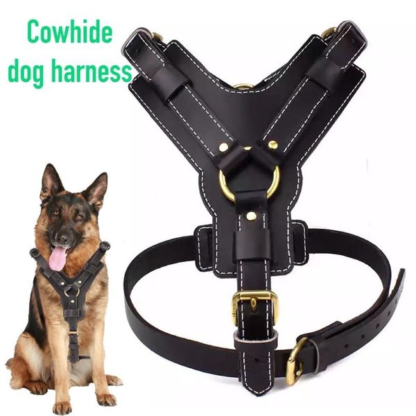 dog collars & leashes real leather harness with leash adjustable strap german shepherd labrador pitbull husky training vest pet products
dog collars & leashes real leather harness with leash adjustable strap german shepherd labrador pitbull husky training vest pet products