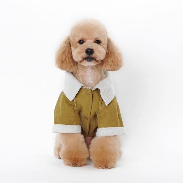 dog apparel clothes autumn and winterstyle pet clothing warm motorcycle style lamb down teddy bichon jacket
dog apparel clothes autumn and winterstyle pet clothing warm motorcycle style lamb down teddy bichon jacket