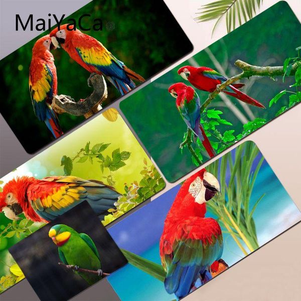 mouse pads & wrist rests animal bird parrot cute large gaming mousepad l xl xxl gamer pad size for keyboards mat boyfriend gift 
mouse pads & wrist rests animal bird parrot cute large gaming mousepad l xl xxl gamer pad size for keyboards mat boyfriend gift
