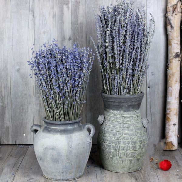 decorative flowers & wreaths 50/100 stems artificial dried flower natural bunch fragrant tied wedding decoration party accessories plants gi
decorative flowers & wreaths 50/100 stems artificial dried flower natural bunch fragrant tied wedding decoration party accessories plants gi