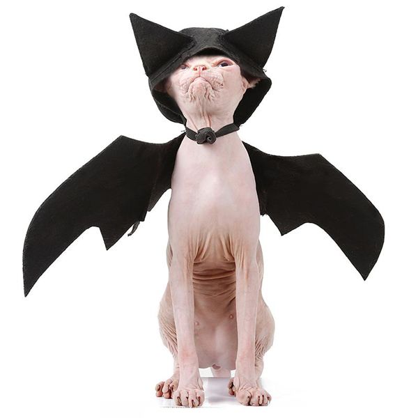 cat costumes comfortable skin-friendly bat wings costume pet dress decoration halloween for pets
cat costumes comfortable skin-friendly bat wings costume pet dress decoration halloween for pets