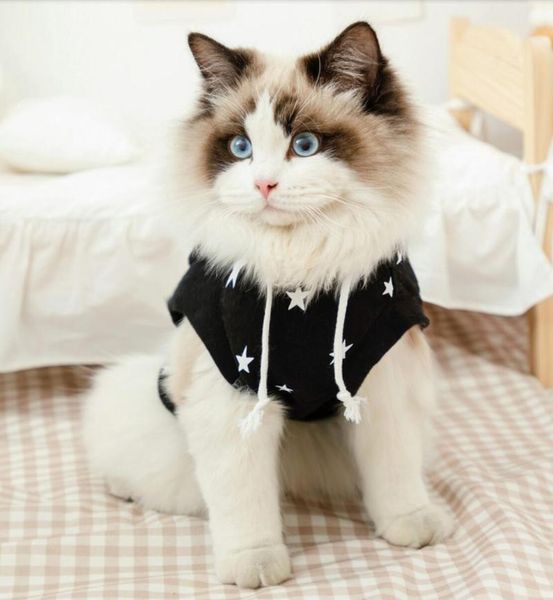cat costumes dog clothes spring and summer dress vest sling small thin section teddy
cat costumes dog clothes spring and summer dress vest sling small thin section teddy