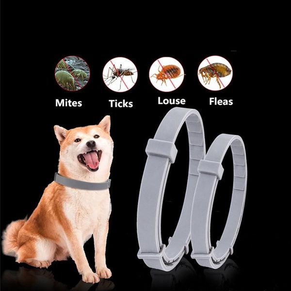 dog collars & leashes pet collar anti flea ticks mosquitoes outdoor protective adjustable cat waterproof accessories
dog collars & leashes pet collar anti flea ticks mosquitoes outdoor protective adjustable cat waterproof accessories