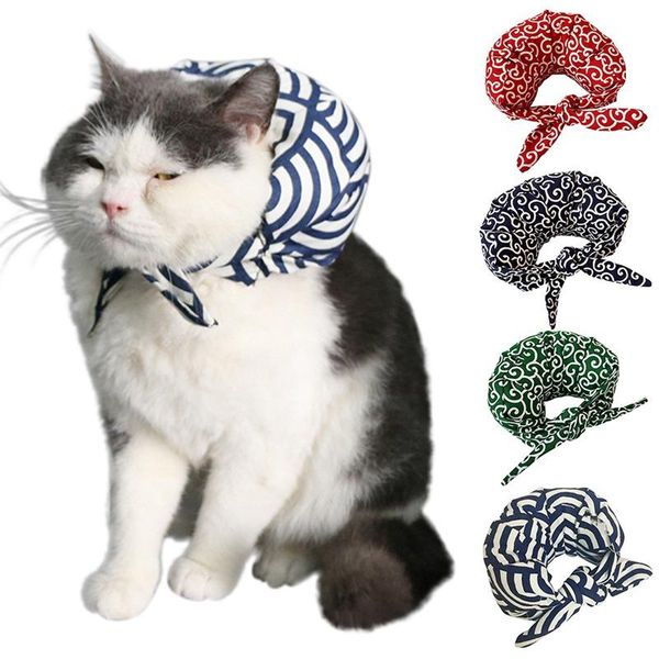 cat costumes master wants to run away japanese style pet collar american shorthair adorable pillow scarf small bundle
cat costumes master wants to run away japanese style pet collar american shorthair adorable pillow scarf small bundle