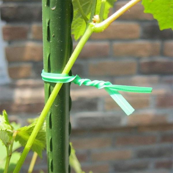 garden decorations 800 precut ready cut small short green gardening plant wire ties plastic strap cables drop 2021 fashion #4
garden decorations 800 precut ready cut small short green gardening plant wire ties plastic strap cables drop 2021 fashion #4