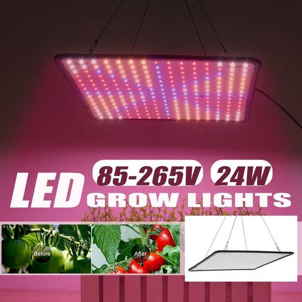 grow lights 24w 225led light panel full spectrum phyto lamp ac85-265v eu plug for indoor tent plants growth
grow lights 24w 225led light panel full spectrum phyto lamp ac85-265v eu plug for indoor tent plants growth