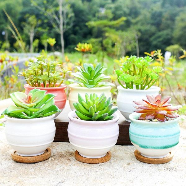 planters & pots ceramic flower pot for living room creative small ornaments cartoon cute fresh simple desksucculent
planters & pots ceramic flower pot for living room creative small ornaments cartoon cute fresh simple desksucculent