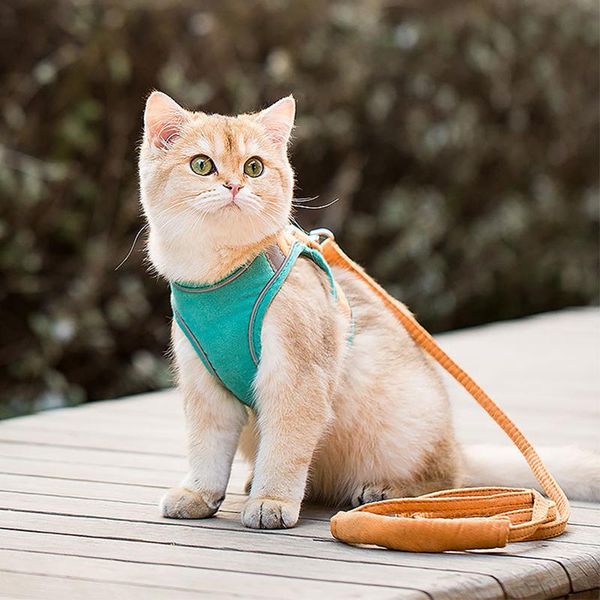 cat collars & leads pet vest harness leash sets for kitten universal reflective chest harnesses strap small dog supplies walking rope
cat collars & leads pet vest harness leash sets for kitten universal reflective chest harnesses strap small dog supplies walking rope