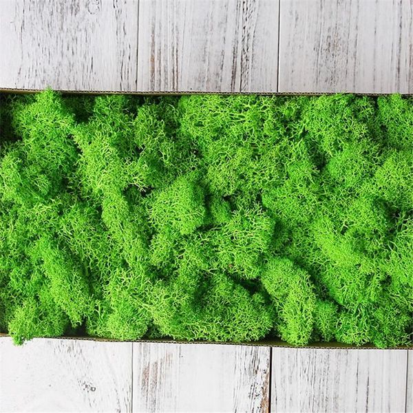 50g/bag artificial green plant immortal fake flower moss grass home living room decorative wall diy flower grass accessories
50g/bag artificial green plant immortal fake flower moss grass home living room decorative wall diy flower grass accessories