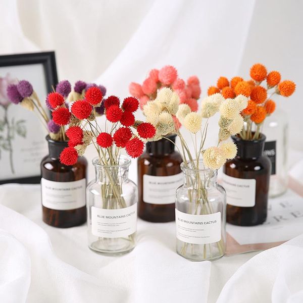10pcs dry flower nature real berry flowers diy floral display grass plant for christmas wedding bouquet room party decor
10pcs dry flower nature real berry flowers diy floral display grass plant for christmas wedding bouquet room party decor