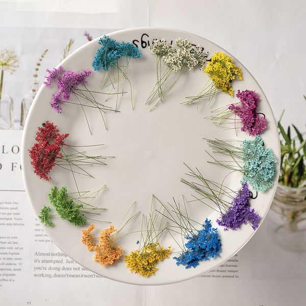 snow pearl flower with branches and true flowers plant specimen teaching diy manual p frame bookmark mobile phone case embossed dry festival
snow pearl flower with branches and true flowers plant specimen teaching diy manual p frame bookmark mobile phone case embossed dry festival