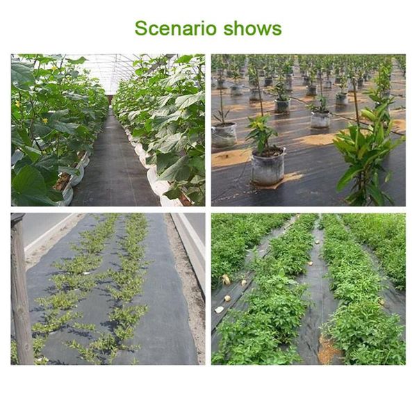 shade 1.5 * 3m control fabric landscaping ground cover agriculture greenhouse garden supplies
shade 1.5 * 3m control fabric landscaping ground cover agriculture greenhouse garden supplies