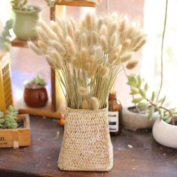 decorative flowers & wreaths 30 stems dried flower tail natural plants floral festival accessories ceremony office grass bouquet rabbi
decorative flowers & wreaths 30 stems dried flower tail natural plants floral festival accessories ceremony office grass bouquet rabbi