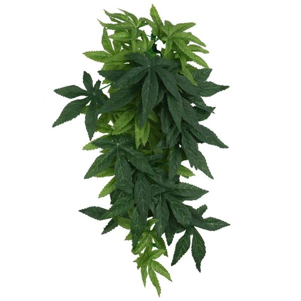 balacoo artificial hanging aquatic plant fake hanging plants vine plants for wall house room indoor outdoor decoration
balacoo artificial hanging aquatic plant fake hanging plants vine plants for wall house room indoor outdoor decoration