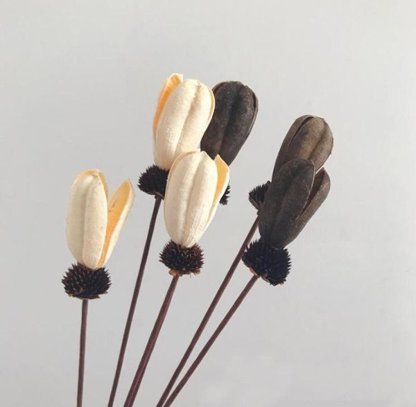 10pcs white/brown/red dried tulip flowers branch for bouquet vase making decoration material accessory craft diy
10pcs white/brown/red dried tulip flowers branch for bouquet vase making decoration material accessory craft diy