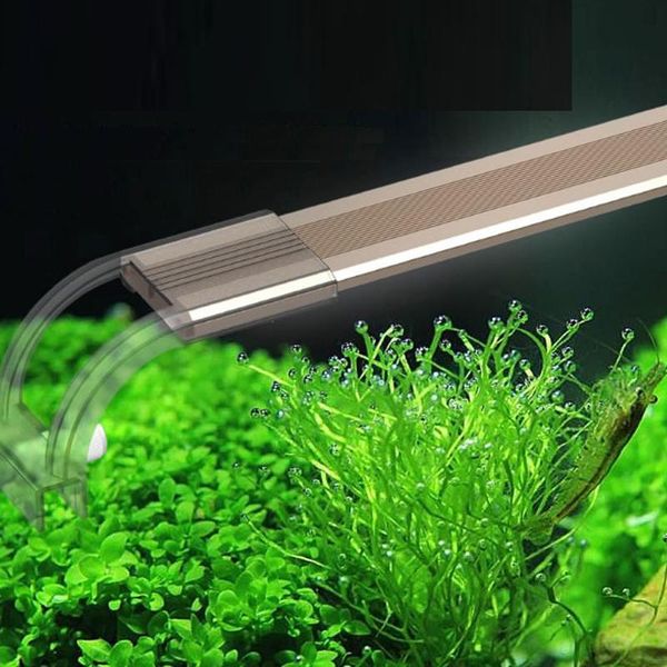 aquariums lighting aquarium fish tank high light lamp water blue white waterproof led bracket
aquariums lighting aquarium fish tank high light lamp water blue white waterproof led bracket